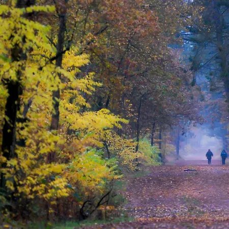 Gilg Διαμέρισμα