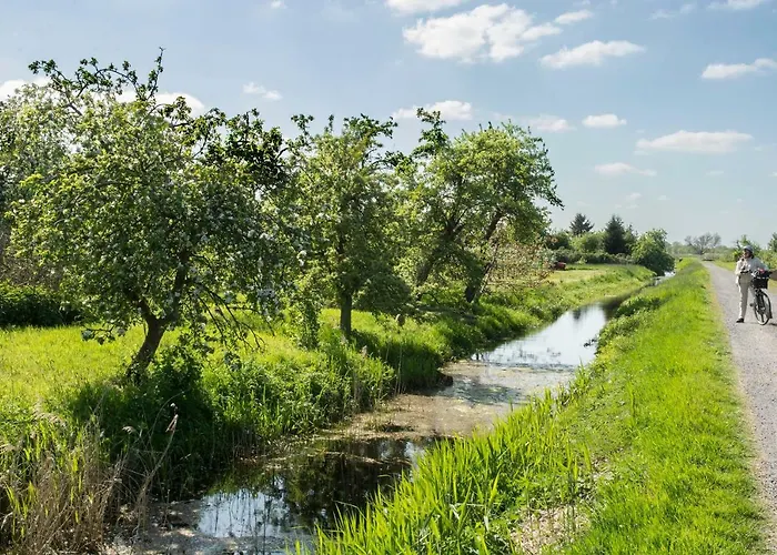 Gilg * كوكسهافن