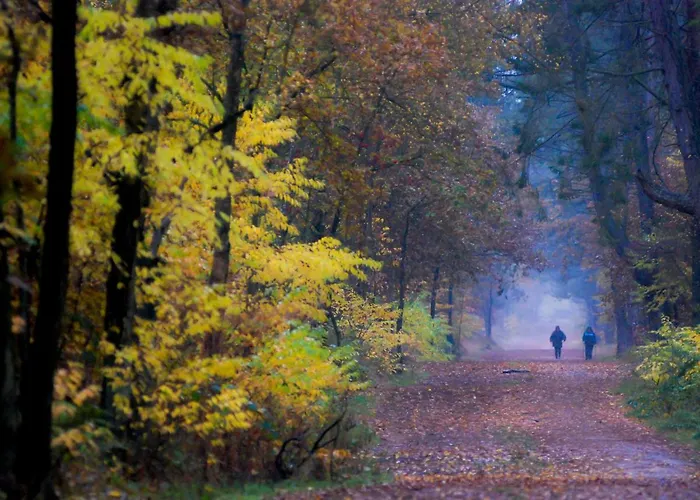 Gilg Апартаменты